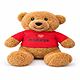 Orsetto Teddy Bear I Love Firenze Souvenir Plush