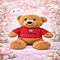 Orsetto Teddy Bear I Love Firenze Souvenir Plush