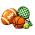 Sports Item